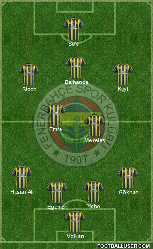 Fenerbahçe SK Formation 2013