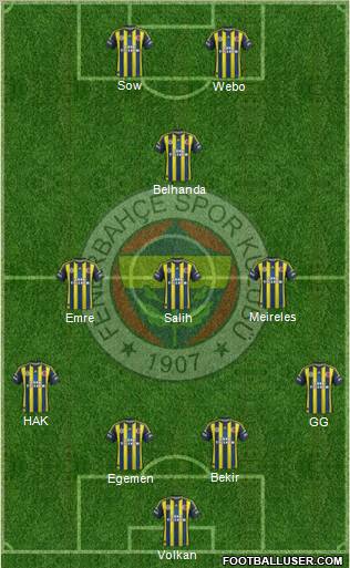 Fenerbahçe SK Formation 2013
