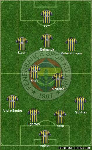 Fenerbahçe SK Formation 2013