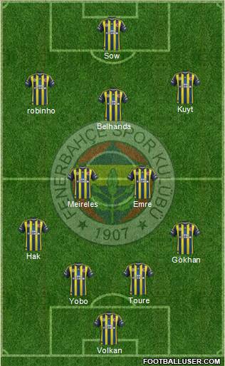 Fenerbahçe SK Formation 2013