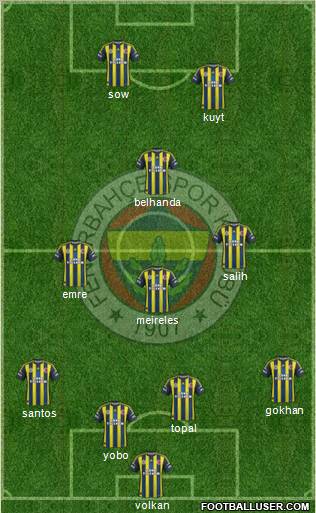 Fenerbahçe SK Formation 2013