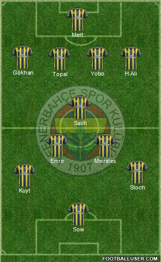 Fenerbahçe SK Formation 2013