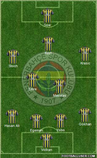 Fenerbahçe SK Formation 2013