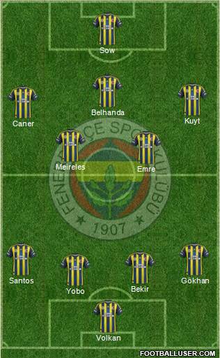 Fenerbahçe SK Formation 2013