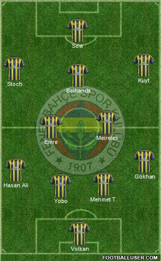 Fenerbahçe SK Formation 2013