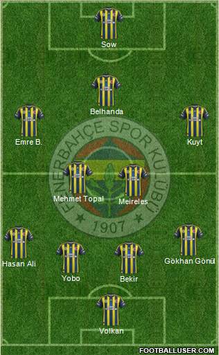 Fenerbahçe SK Formation 2013