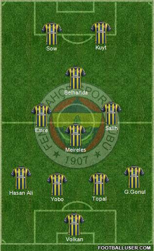 Fenerbahçe SK Formation 2013