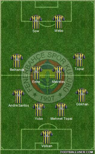 Fenerbahçe SK Formation 2013