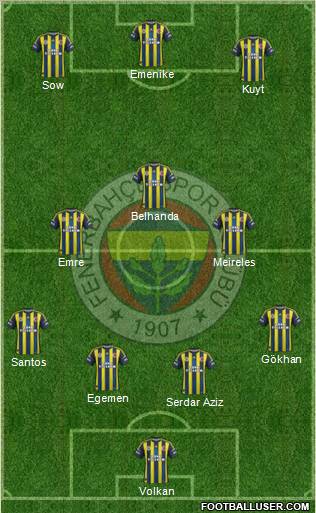 Fenerbahçe SK Formation 2013