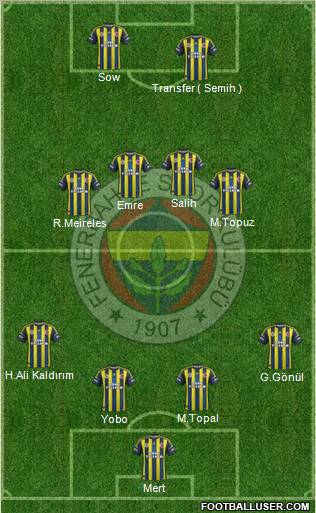 Fenerbahçe SK Formation 2013
