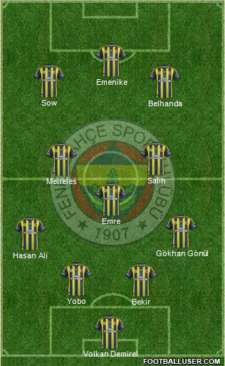 Fenerbahçe SK Formation 2013