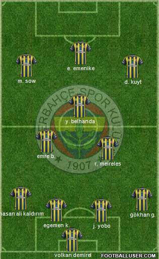 Fenerbahçe SK Formation 2013