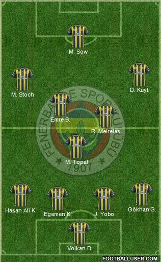 Fenerbahçe SK Formation 2013