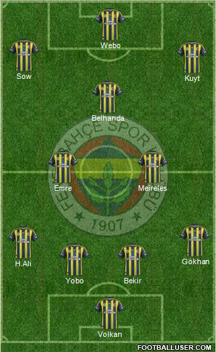 Fenerbahçe SK Formation 2013