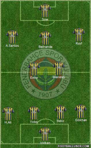 Fenerbahçe SK Formation 2013