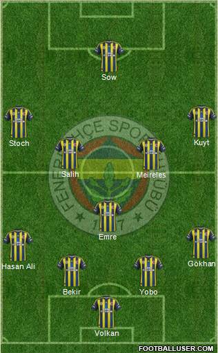 Fenerbahçe SK Formation 2013