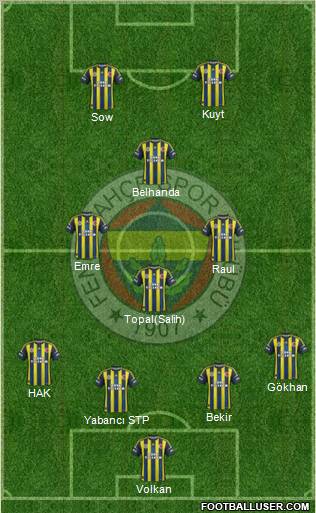 Fenerbahçe SK Formation 2013