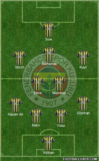 Fenerbahçe SK Formation 2013