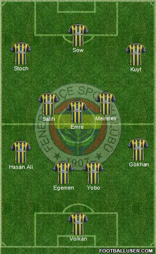Fenerbahçe SK Formation 2013