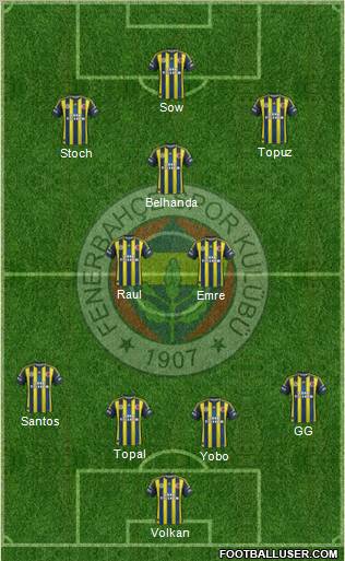Fenerbahçe SK Formation 2013