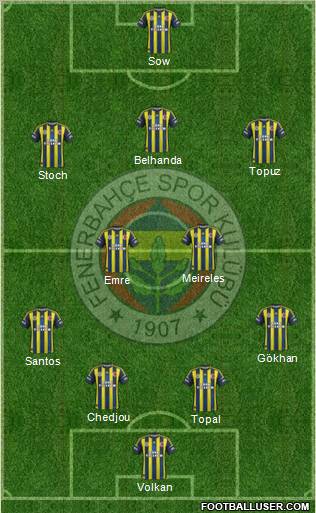 Fenerbahçe SK Formation 2013