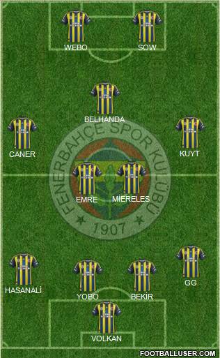 Fenerbahçe SK Formation 2013