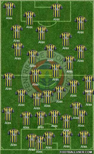 Fenerbahçe SK Formation 2013