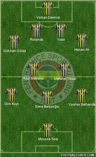 Fenerbahçe SK Formation 2013