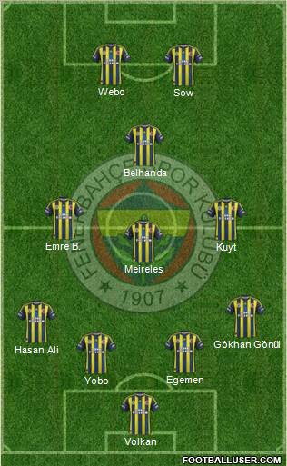 Fenerbahçe SK Formation 2013
