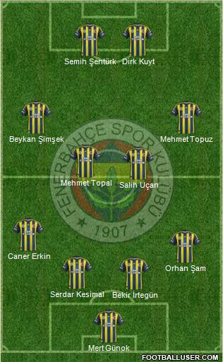 Fenerbahçe SK Formation 2013