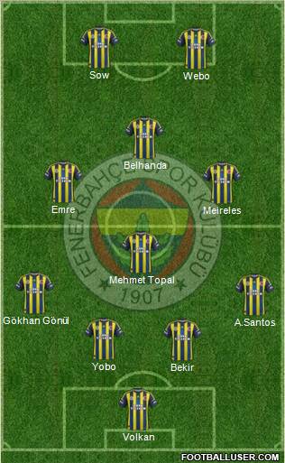 Fenerbahçe SK Formation 2013