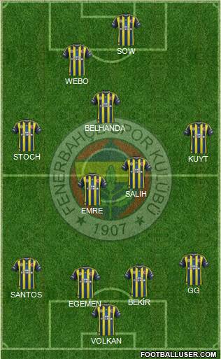 Fenerbahçe SK Formation 2013