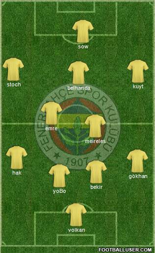 Fenerbahçe SK Formation 2013