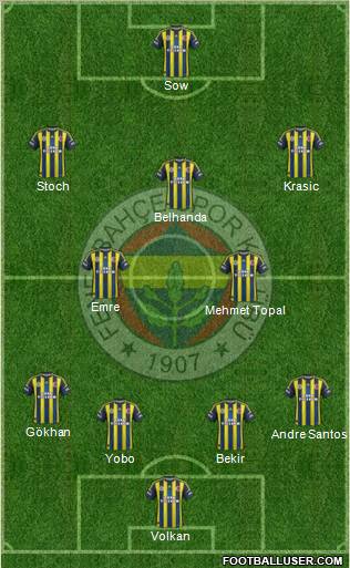 Fenerbahçe SK Formation 2013