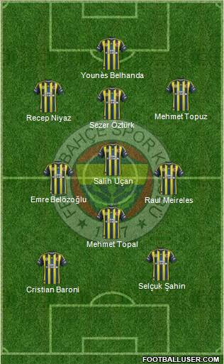 Fenerbahçe SK Formation 2013