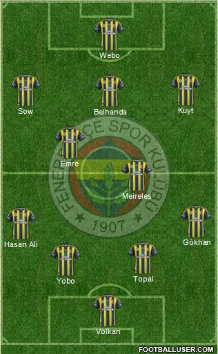 Fenerbahçe SK Formation 2013