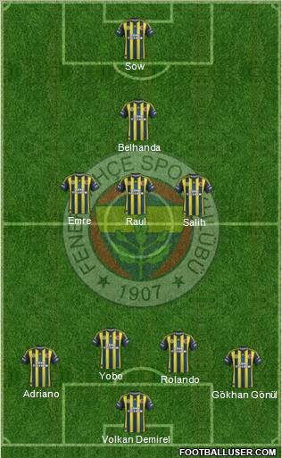Fenerbahçe SK Formation 2013