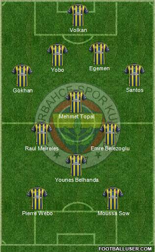 Fenerbahçe SK Formation 2013
