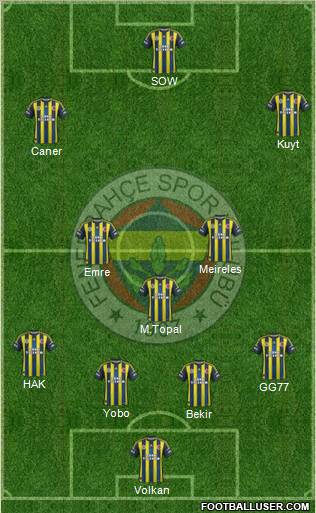 Fenerbahçe SK Formation 2013