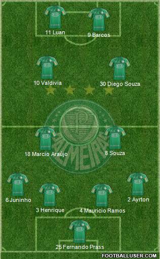 SE Palmeiras Formation 2013