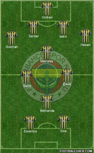 Fenerbahçe SK Formation 2013