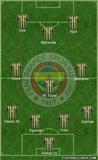 Fenerbahçe SK Formation 2013