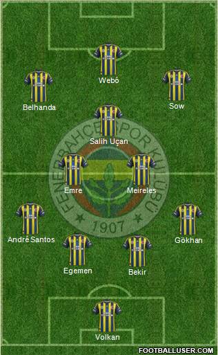 Fenerbahçe SK Formation 2013
