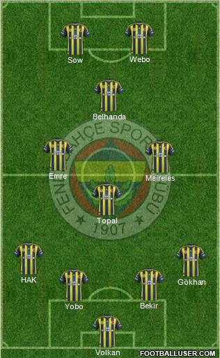 Fenerbahçe SK Formation 2013