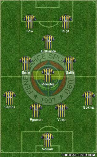 Fenerbahçe SK Formation 2013
