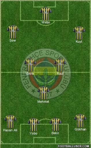Fenerbahçe SK Formation 2013