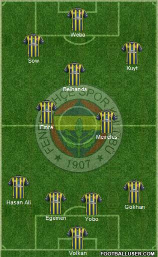 Fenerbahçe SK Formation 2013