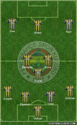 Fenerbahçe SK Formation 2013