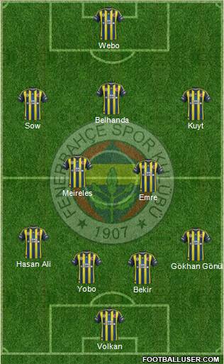 Fenerbahçe SK Formation 2013