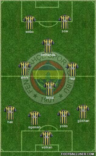 Fenerbahçe SK Formation 2013